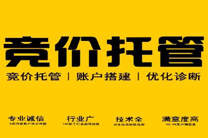 电商平台信息流广告的创意与优化：成功案例分析